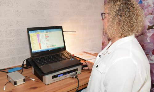 Riena Swaanen Vitaalveldtherapie